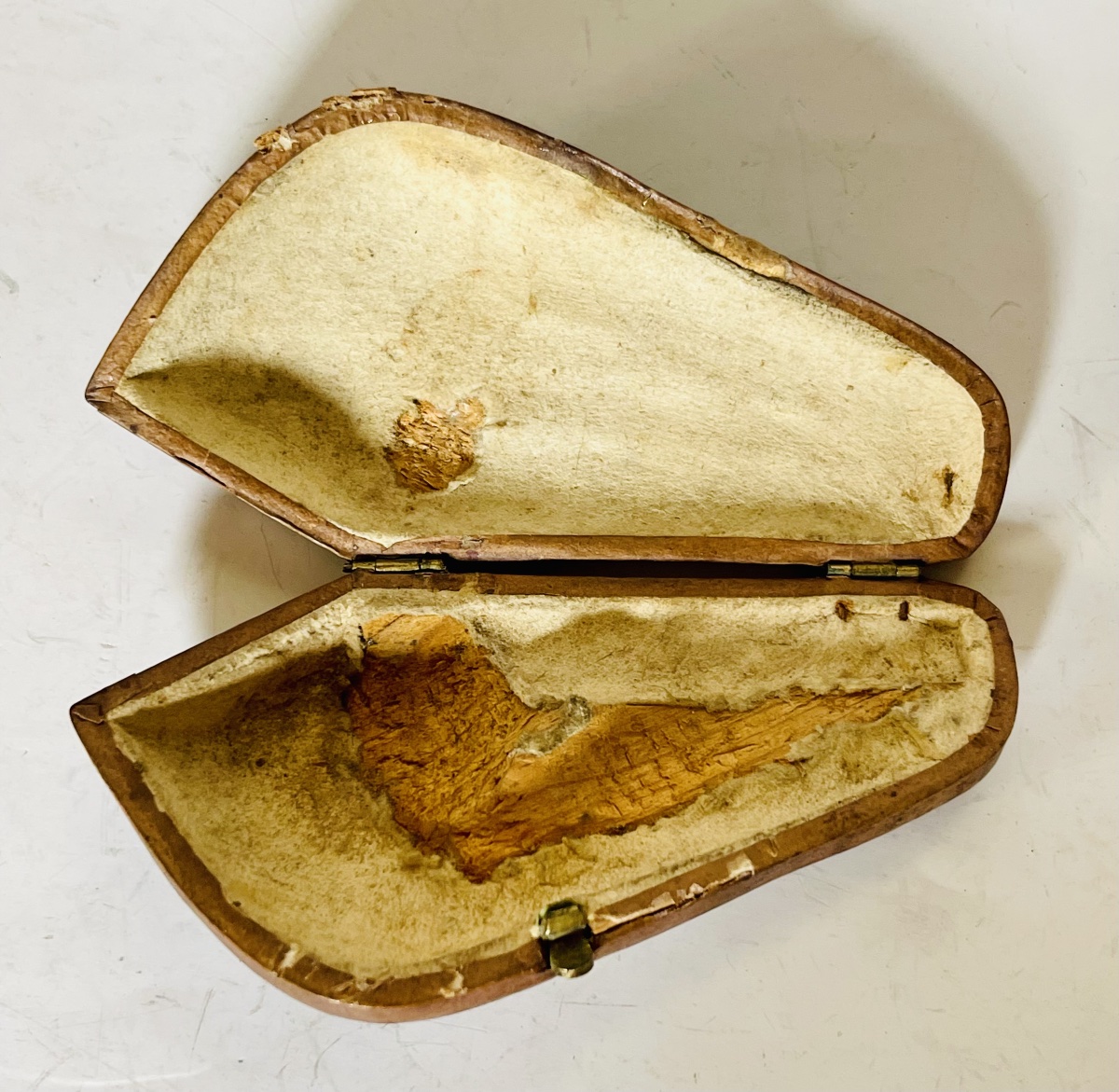 Cigar Holder - Sea Foam -photo-7